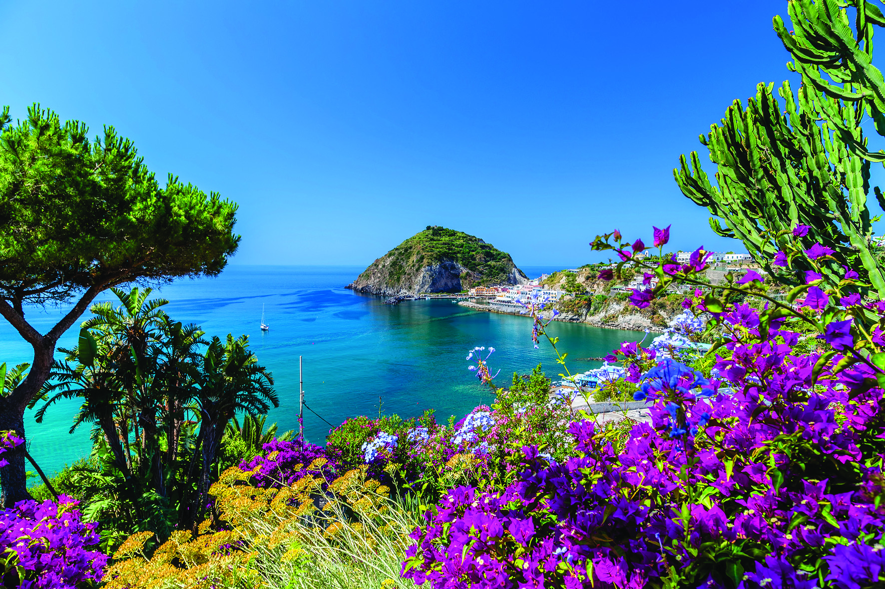 A view of Sant'Angelo in Ischia island in Italy: Tyrrhenian sea, bougaiunvillea glabra, rocks,  water, umbrella, sand and old typical houses in the island in front of Naples in Campania region in a sunny day